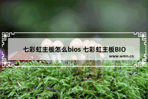 七彩虹主板怎么bios 七彩虹主板BIOS设置方法