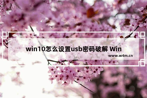 win10怎么设置usb密码破解 Win10 USB密码设置及破解方法