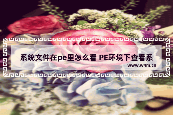 系统文件在pe里怎么看 PE环境下查看系统文件方法