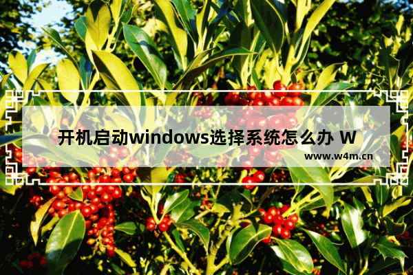 开机启动windows选择系统怎么办 Windows启动多系统如何选择