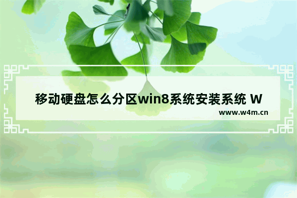 移动硬盘怎么分区win8系统安装系统 Win8移动硬盘分区安装系统