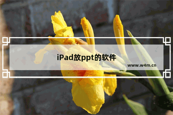 iPad放ppt的软件