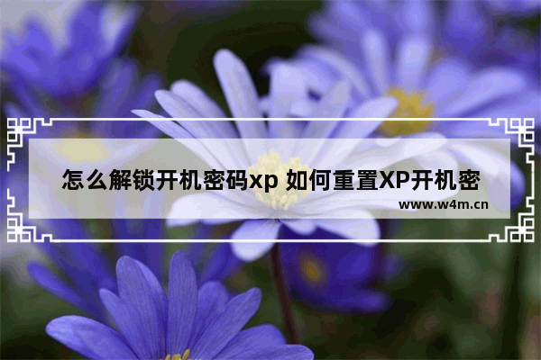 怎么解锁开机密码xp 如何重置XP开机密码？