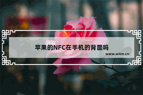 苹果的NFC在手机的背面吗