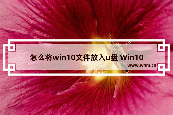 怎么将win10文件放入u盘 Win10文件放入U盘-操作指南