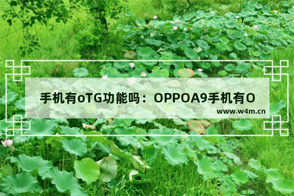 手机有oTG功能吗：OPPOA9手机有OTG功能吗