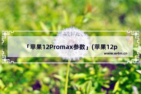 「苹果12Promax参数」(苹果12promax参数配置详细)