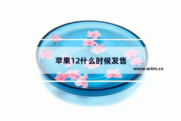 苹果12什么时候发售