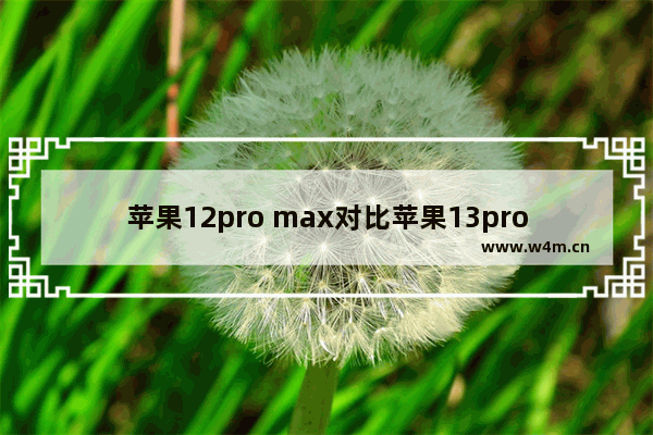 苹果12pro max对比苹果13pro参数