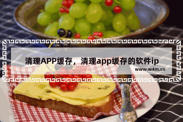 清理APP缓存，清理app缓存的软件iphone