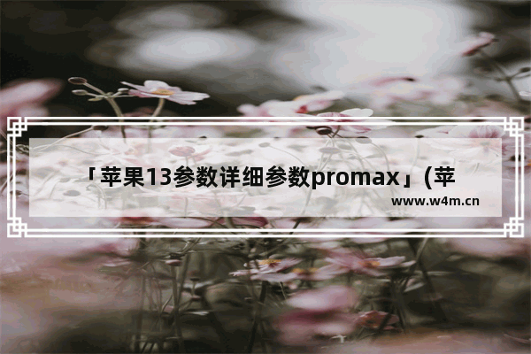 「苹果13参数详细参数promax」(苹果13参数详细参数promax256)