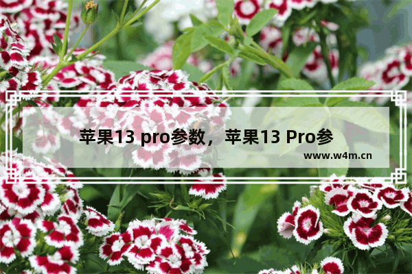 苹果13 pro参数，苹果13 Pro参数配置