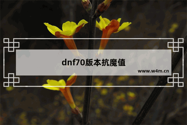 dnf70版本抗魔值