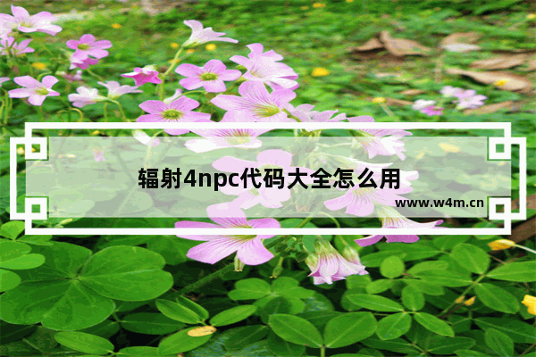 辐射4npc代码大全怎么用