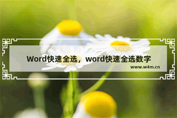 Word快速全选，word快速全选数字