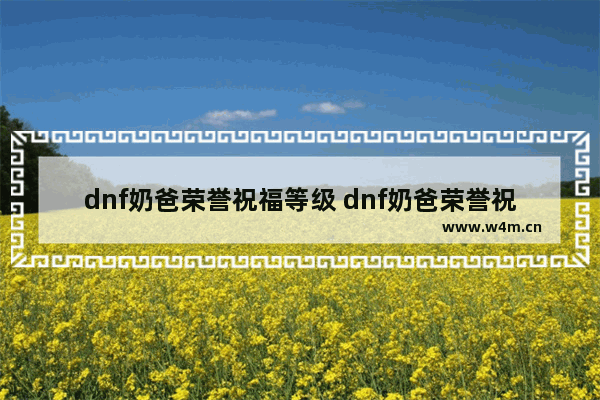 dnf奶爸荣誉祝福等级 dnf奶爸荣誉祝福等级表