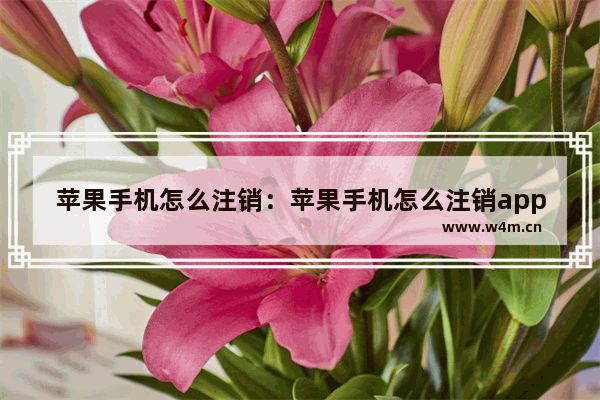 苹果手机怎么注销：苹果手机怎么注销app账号