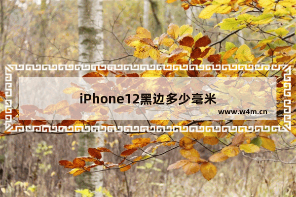 iPhone12黑边多少毫米