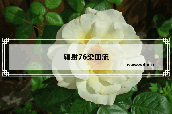 辐射76染血流