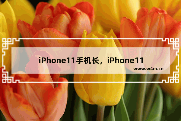 iPhone11手机长，iPhone11手机长截屏怎么操作