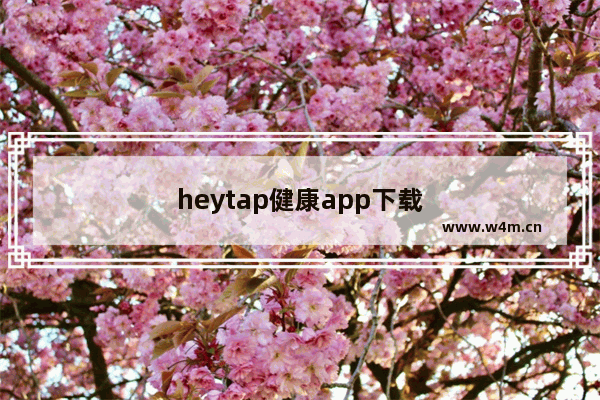 heytap健康app下载