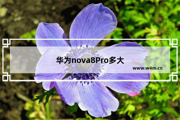 华为nova8Pro多大