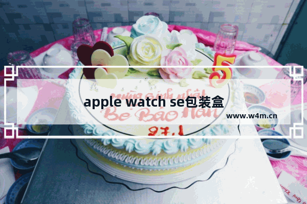 apple watch se包装盒