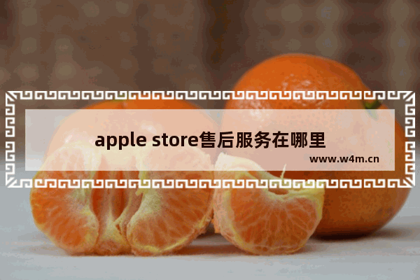 apple store售后服务在哪里