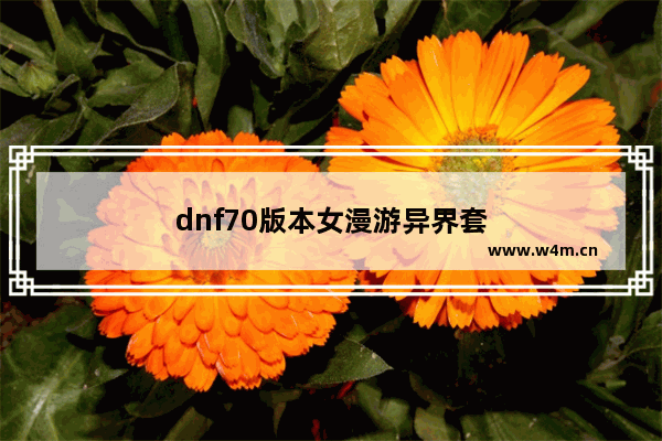 dnf70版本女漫游异界套