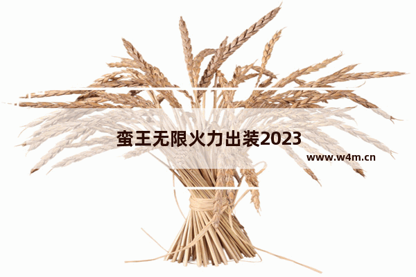 蛮王无限火力出装2023