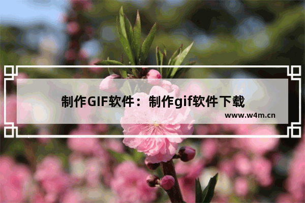 制作GIF软件：制作gif软件下载