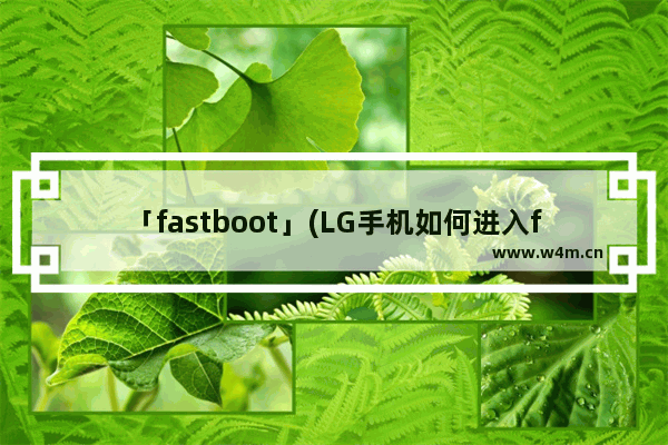 「fastboot」(LG手机如何进入fastboot)