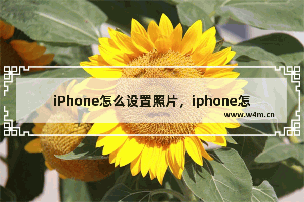 iPhone怎么设置照片，iphone怎么设置照片容量