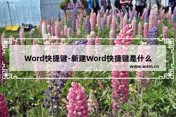 Word快捷键-新建Word快捷键是什么