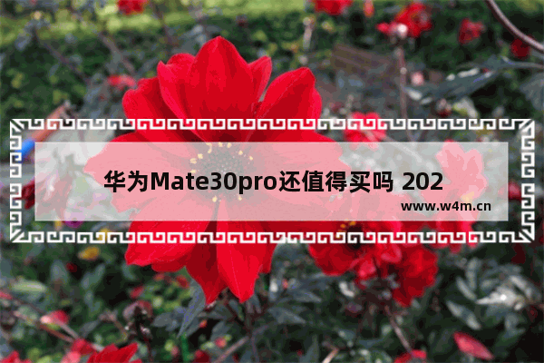 华为Mate30pro还值得买吗 2020年华为mate30pro还值得买吗