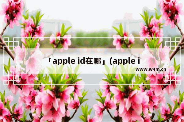 「apple id在哪」(apple id在哪找到)