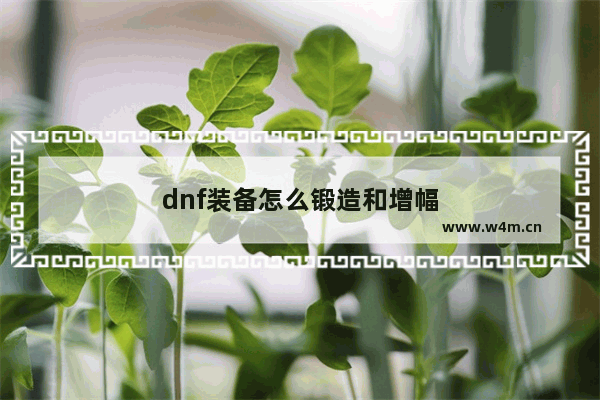 dnf装备怎么锻造和增幅