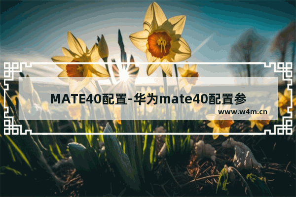 MATE40配置-华为mate40配置参数详情