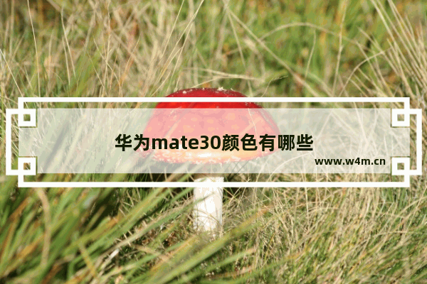 华为mate30颜色有哪些