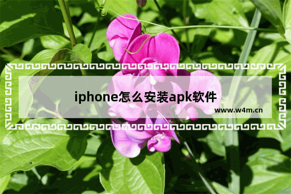 iphone怎么安装apk软件