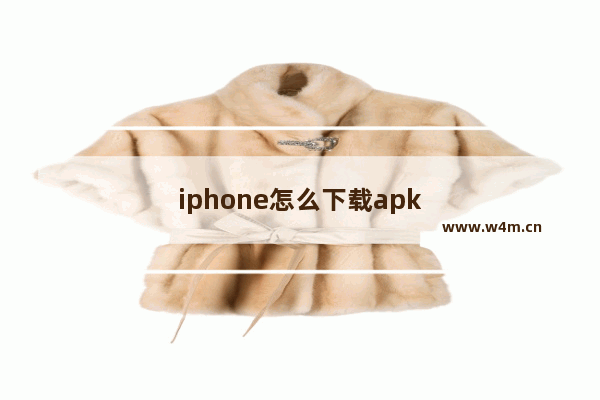 iphone怎么下载apk