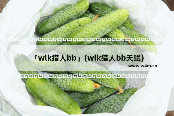 「wlk猎人bb」(wlk猎人bb天赋)