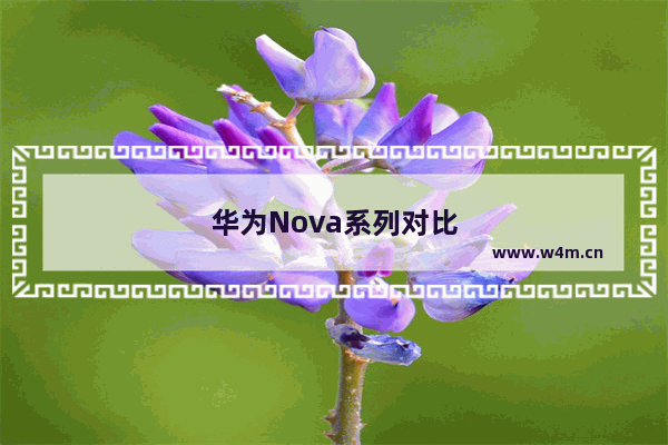 华为Nova系列对比