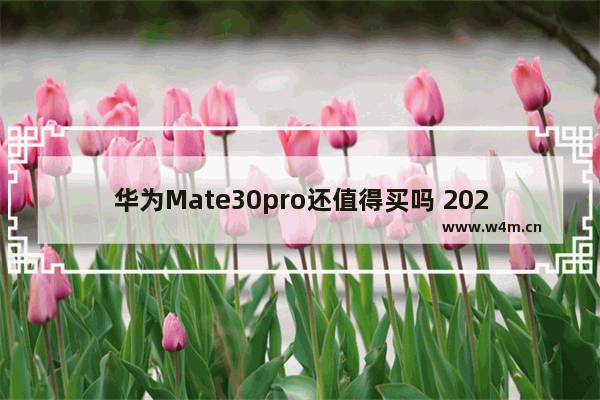 华为Mate30pro还值得买吗 2020年华为mate30pro还值得买吗