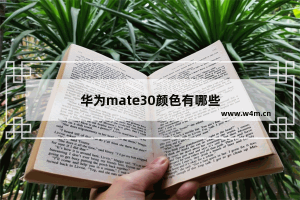 华为mate30颜色有哪些