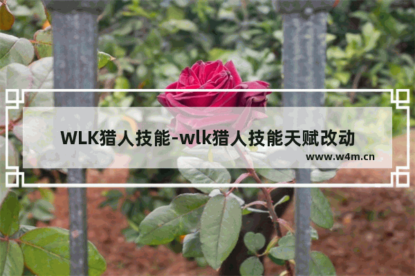 WLK猎人技能-wlk猎人技能天赋改动