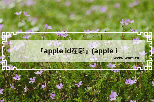 「apple id在哪」(apple id在哪找到)