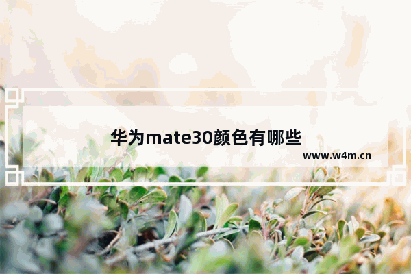 华为mate30颜色有哪些