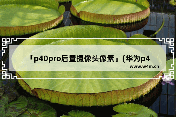 「p40pro后置摄像头像素」(华为p40pro后置摄像头像素多少)