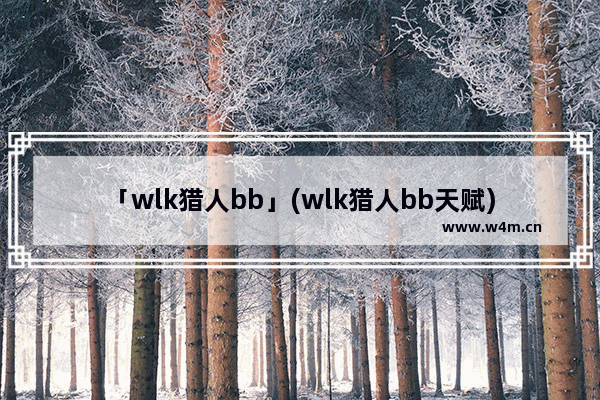 「wlk猎人bb」(wlk猎人bb天赋)